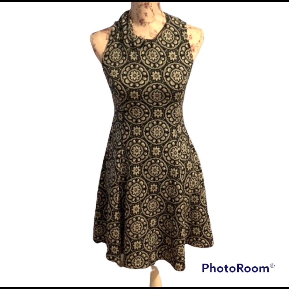Fit and flare Zara dress